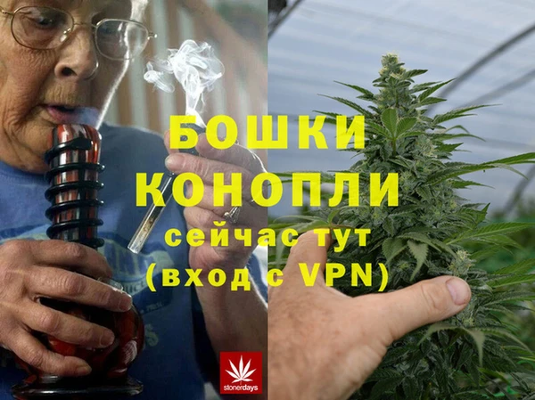 индика Алексин