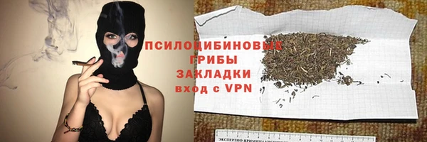 твердый Алзамай