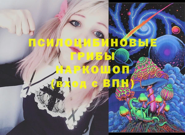 индика Алексин