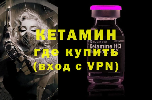 индика Алексин