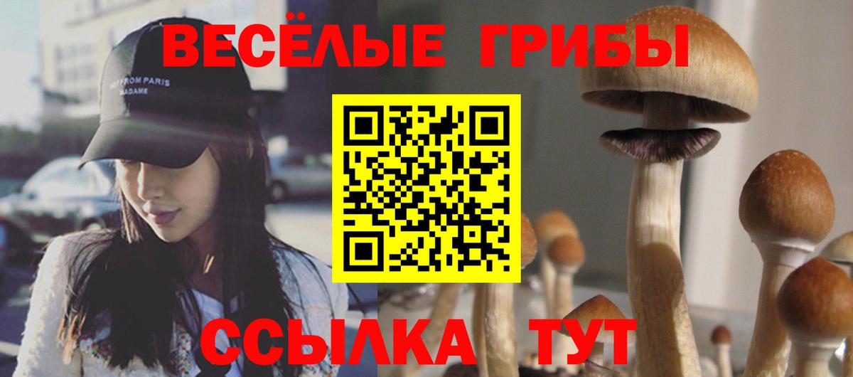 Галлюциногенные грибы MAGIC MUSHROOMS Ейск