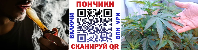 где найти   Ейск  Бошки Шишки сатива 